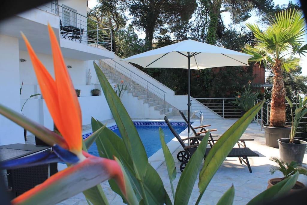 Lloret De Mar, Casa Arjane Экстерьер фото